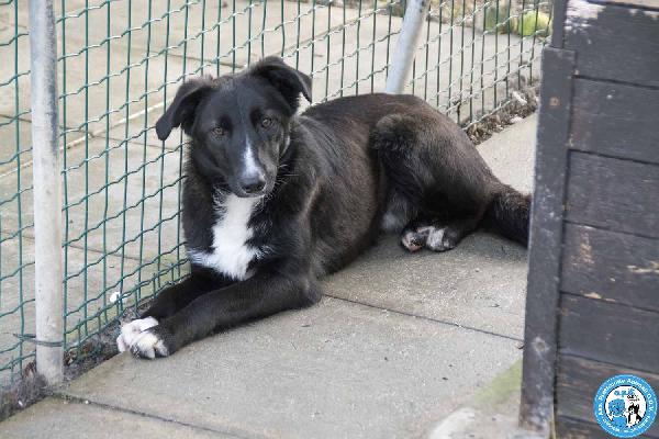 Nina, Nana e Noah: il club degli invisibili Foto 5